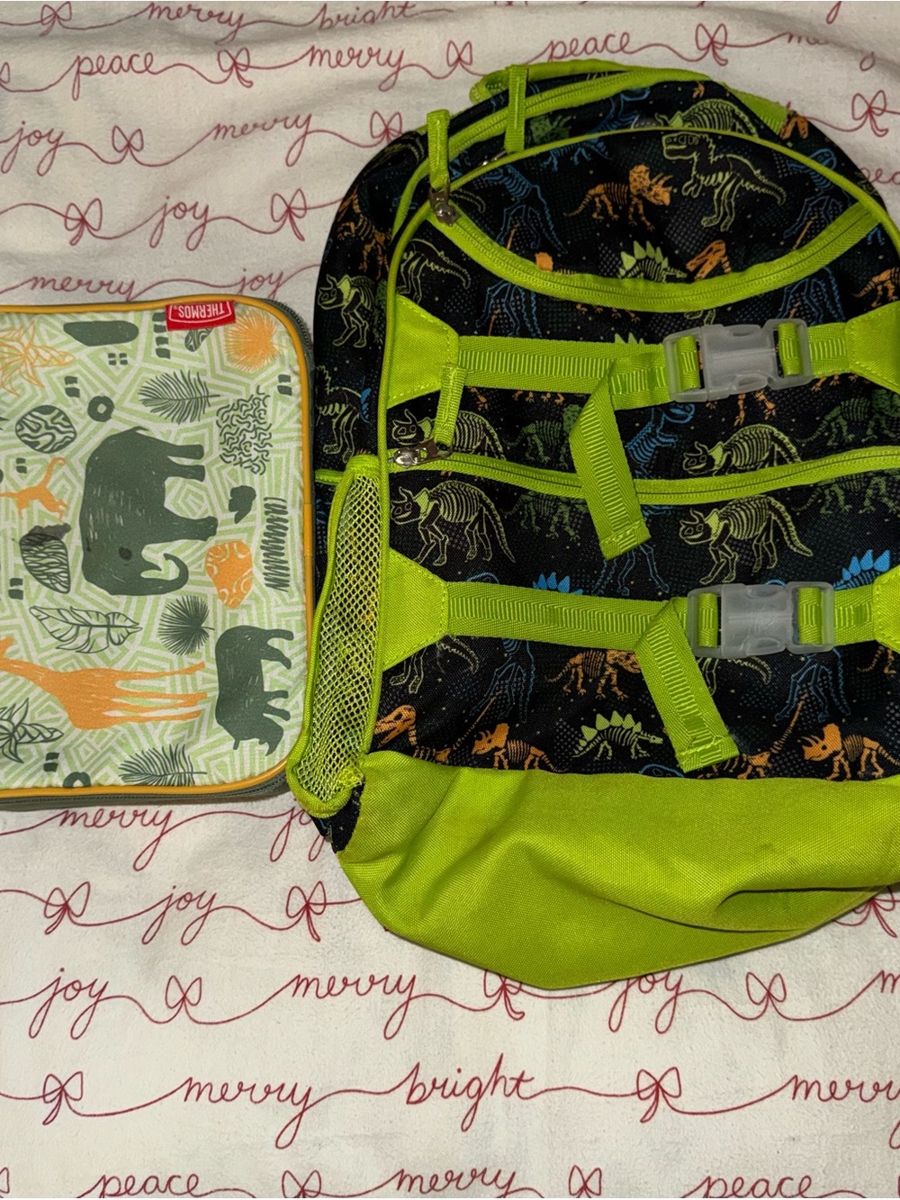 Backpack and lunchbox used washed